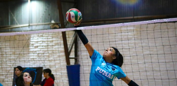 Academia de Voleibol Los Pumas