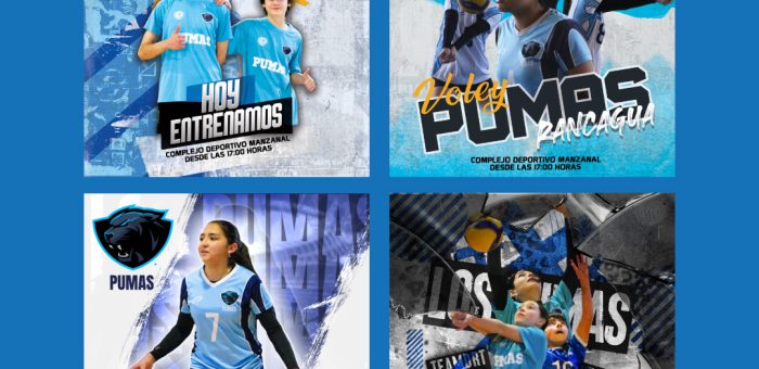 Academia de Voleibol Los Pumas